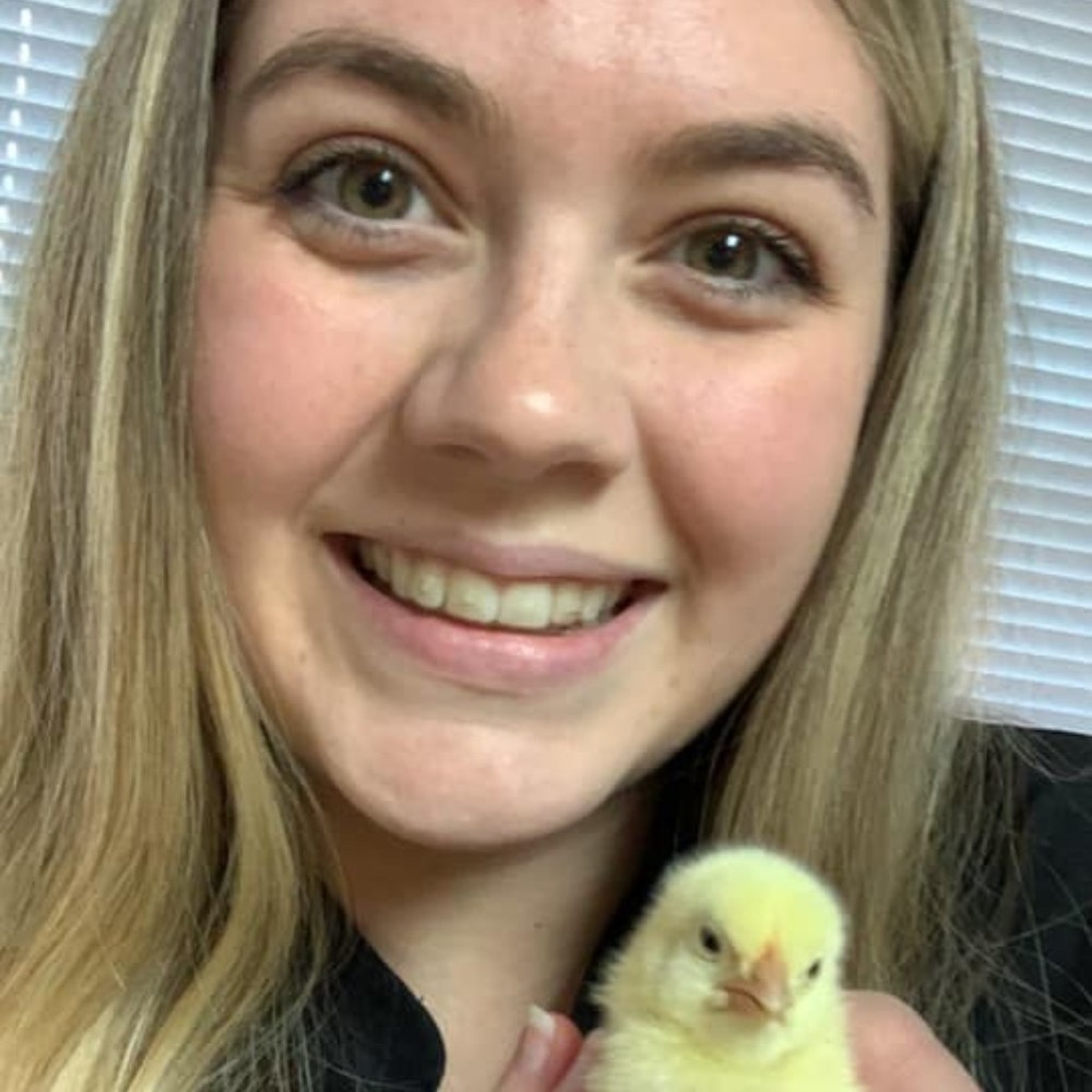 Meet your Posher, Rachel